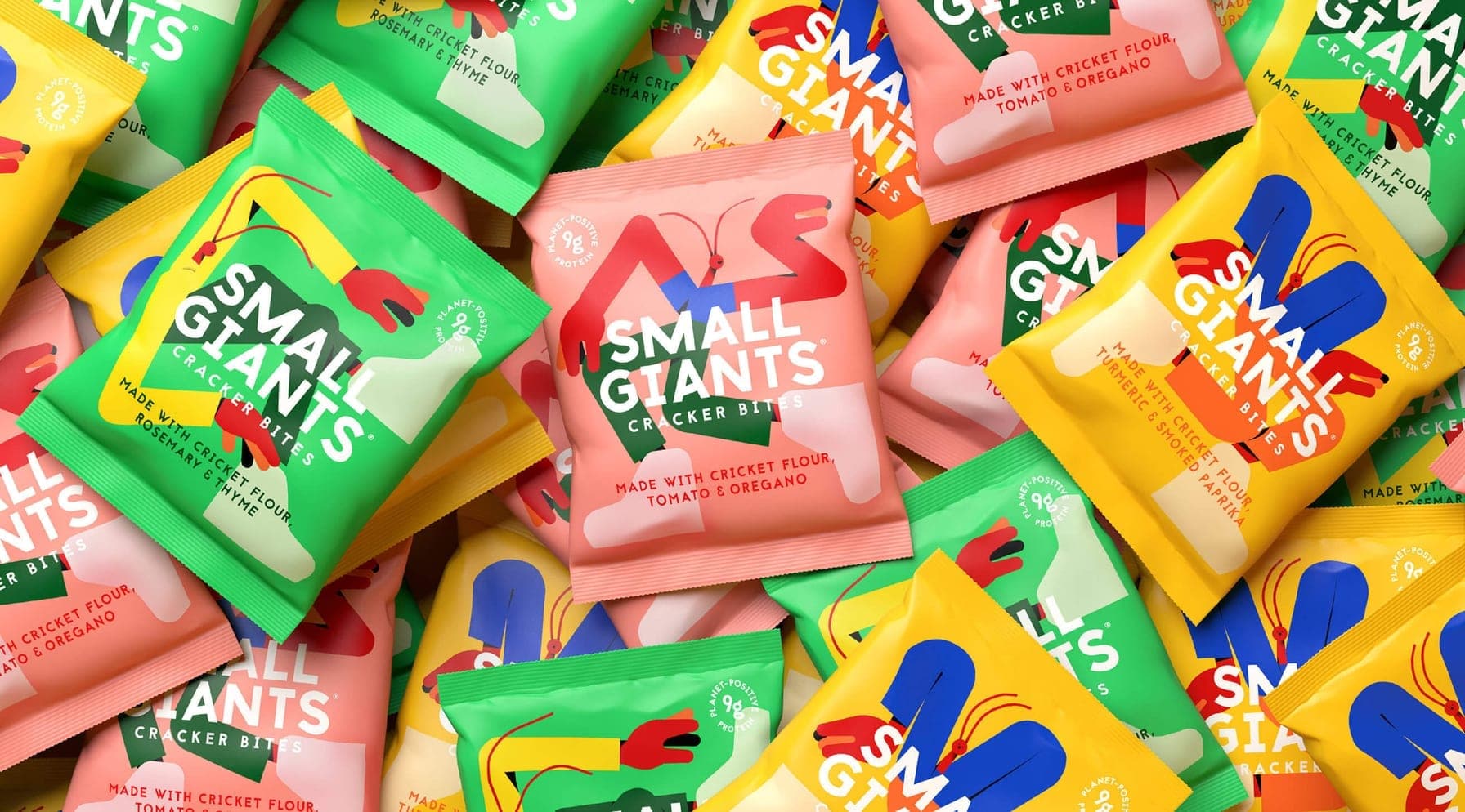 Small Giants - Caso Studio